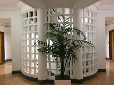 Magnifique Appartement Jean Medecin/Notre Dame Ніцца Екстер'єр фото